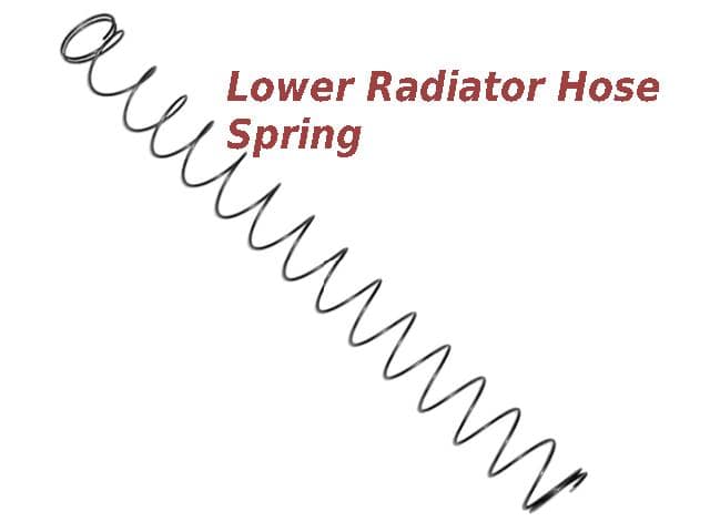 Radiator Hose SPRING: Lower